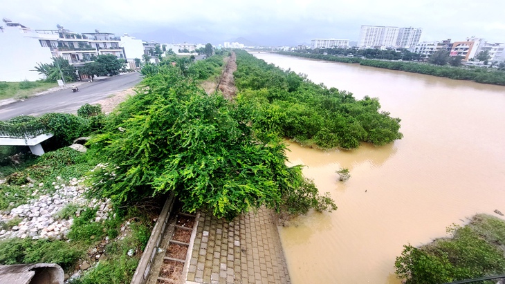 Phạt 50 triệu đồng quán BlueSea Beach & Bar ở Nha Trang có nhân viên cầm xẻng dọa đánh du khách - Ảnh 3.