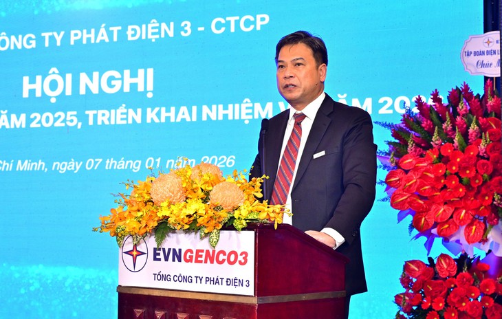 evngenco3 - Ảnh 4.