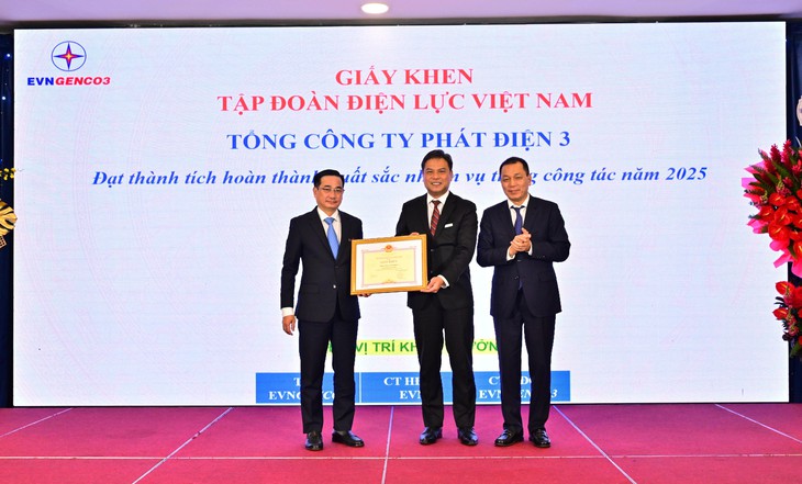 evngenco3 - Ảnh 5.