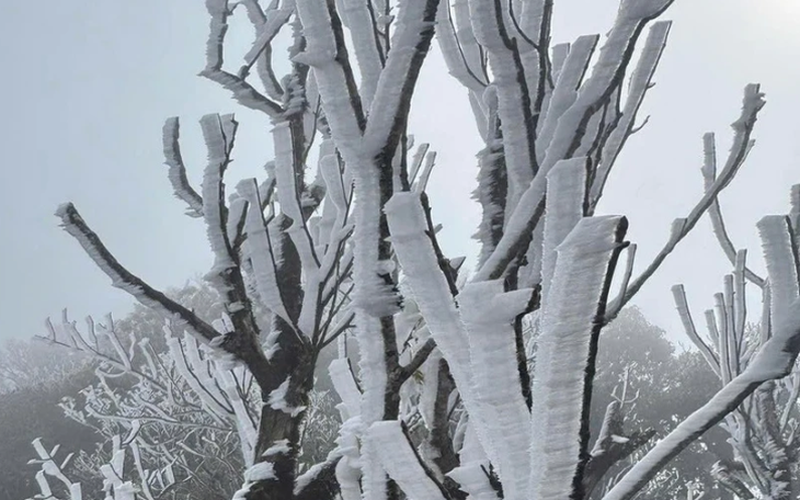 TP.HCM trong buổi sáng mức nhiệt cảm nhận 17 độ C - Ảnh 12.