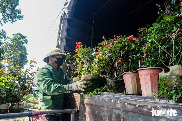 Thủ phủ hoa Mê Linh vào vụ Tết, giá hoa dự báo tăng - Ảnh 7.