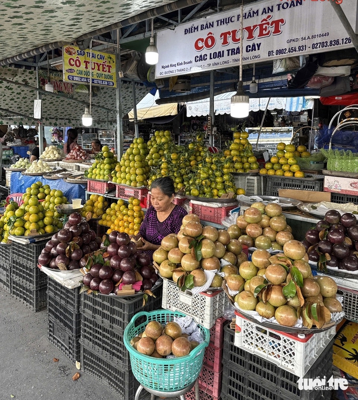 Vĩnh Long - Ảnh 2.