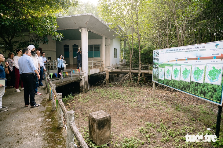 rừng ngập mặn Cần Giờ - Ảnh 5.