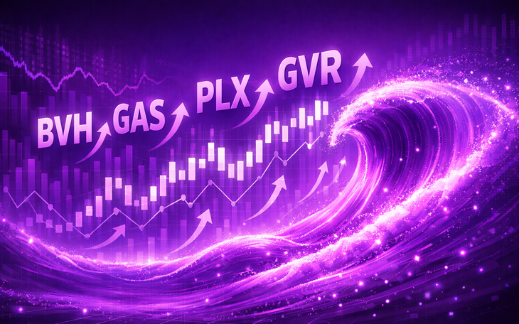 Sở hữu 5.000 cửa hàng, Petrolimex trụ cột đảm bảo an ninh năng lượng xăng dầu - Ảnh 2.