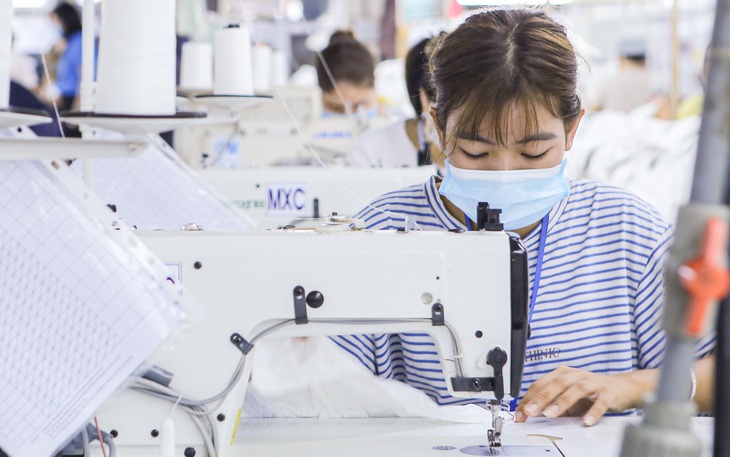 260 triệu thanh niên không có việc, không đi học, không được đào tạo - Ảnh 2.