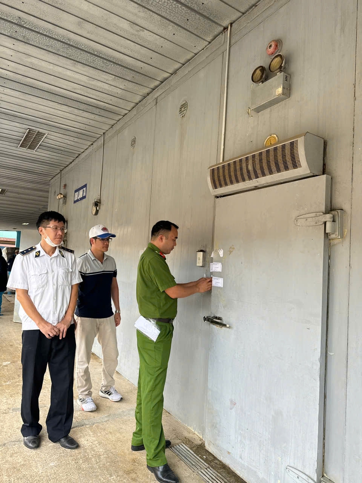 đồ hộp hạ long - Ảnh 2.