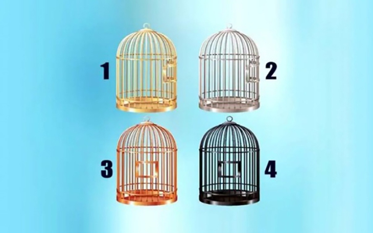 Quiz: Bạn thuận bán cầu não trái hay phải? - Ảnh 3.