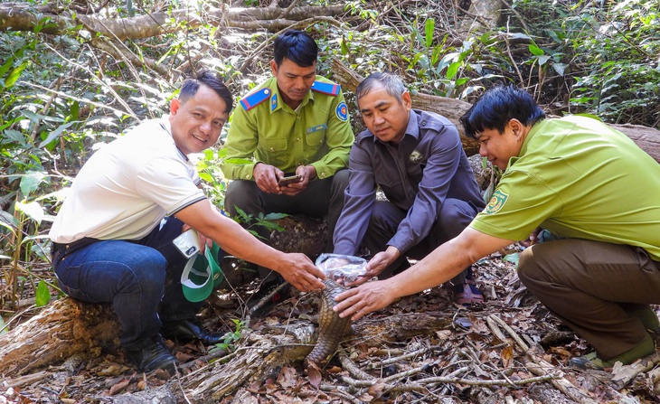 tê tê java - Ảnh 2.