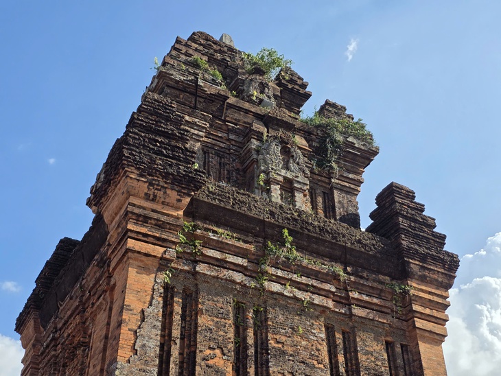 Tháp Nhạn - Ảnh 2.