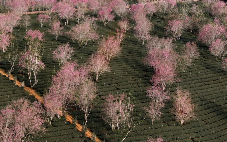 Lâm Đồng ký hợp tác truyền thông với 29 cơ quan báo chí - Ảnh 2.