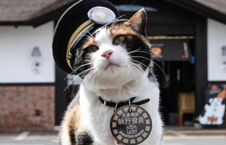 Max Verstappen là ai mà khiến cõi mạng Việt dậy sóng? - Ảnh 5.