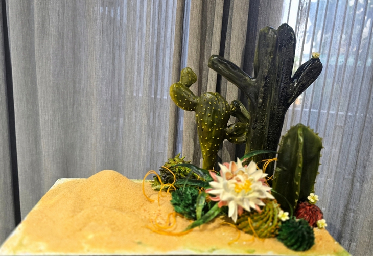 Thềm nhà có hoa - Ảnh 5.