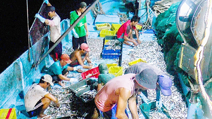 thủy sản  - Ảnh 1.