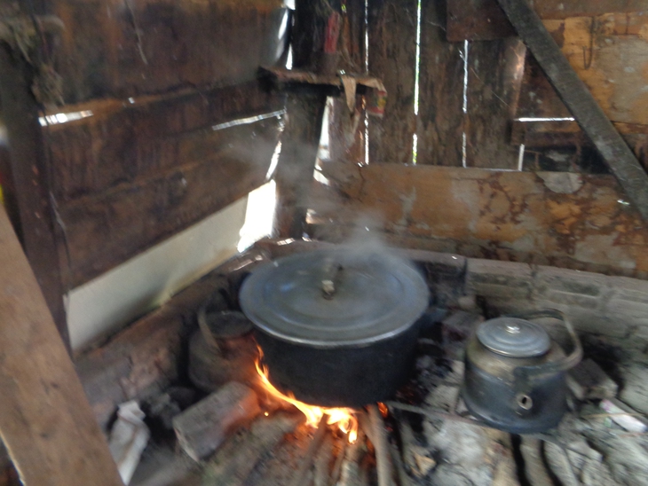 Nơi mùa xuân bắt đầu và ấm mãi - Ảnh 1. mùa xuân - Ảnh 1.