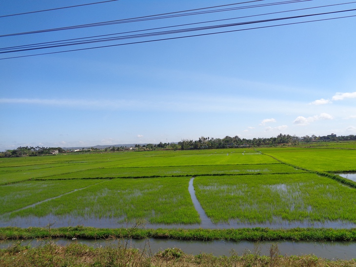 Nơi mùa xuân bắt đầu và ấm mãi - Ảnh 2. mùa xuân - Ảnh 2.