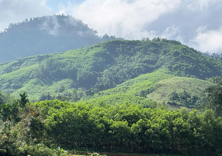 Đà Nẵng - Ảnh 2.