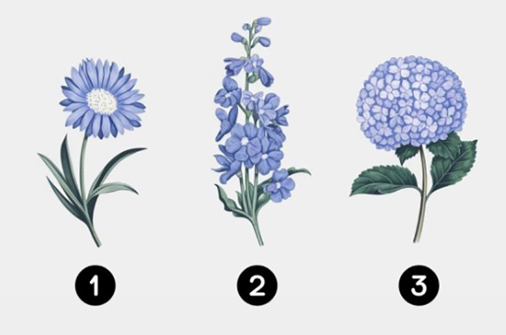 Quiz: Đức tính tuyệt vời nhất của bạn là gì? - Ảnh 1.