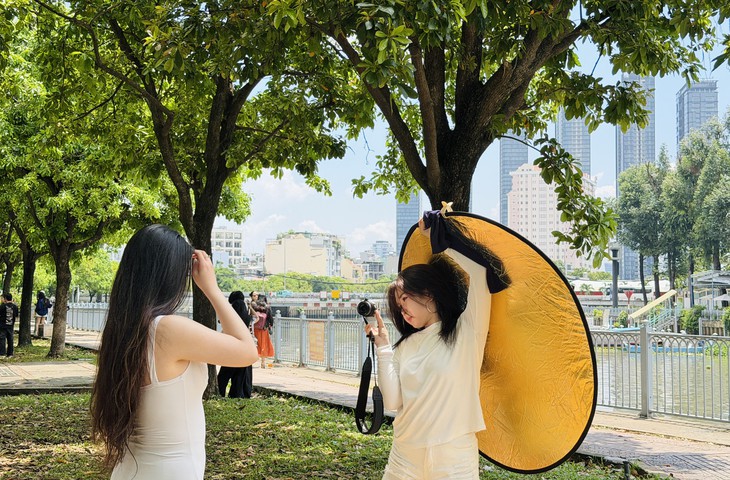 'Mùa thu Sài Gòn' chỉ còn lá xanh, bạn trẻ vẫn chụp ảnh 'về chỉnh lại cũng được' - Ảnh 1.
