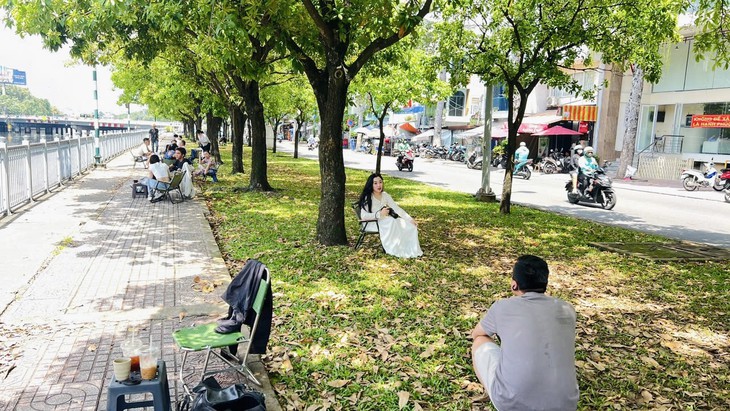 'Mùa thu Sài Gòn' chỉ còn lá xanh, bạn trẻ vẫn chụp ảnh 'về chỉnh lại cũng được' - Ảnh 2.