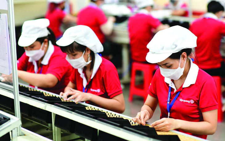 Bưởi Bắc Ninh xuất khẩu sang Nga, ổi sang Anh, trái cây còn dư địa nào? - Ảnh 4.