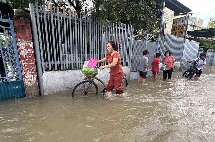 Triều cường sông Đồng Nai cao nhất từ sau năm 1975, nhiều tuyến đường, nhà dân ngập úng - Ảnh 9.