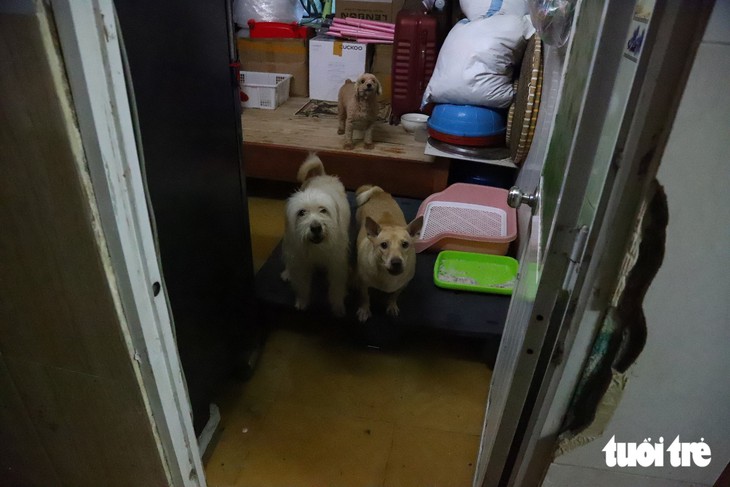 Người dân lội nước về nhà, trẻ em bơi giữa dòng triều cường đạt đỉnh - Ảnh 10.