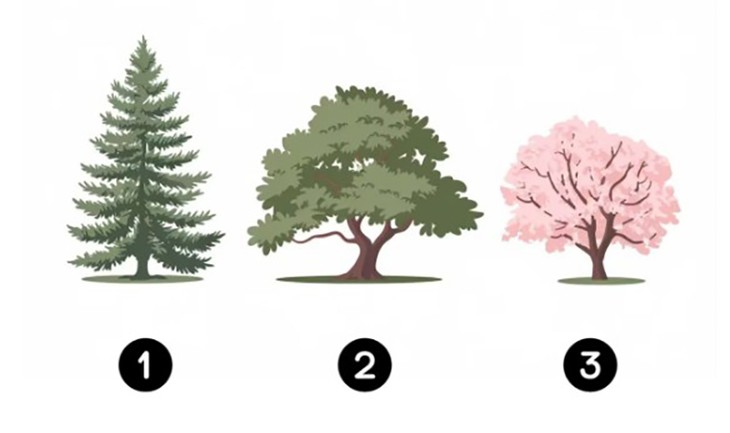 Quiz: Vì sao bạn hay tự ti về bản thân? - Ảnh 1.