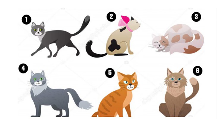 Quiz: Bạn thuộc kiểu người nào? - Ảnh 1.