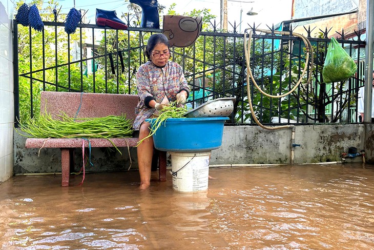 Triều cường sông Đồng Nai dâng cao, người dân vùng trũng lại bì bõm lội nước - Ảnh 7.