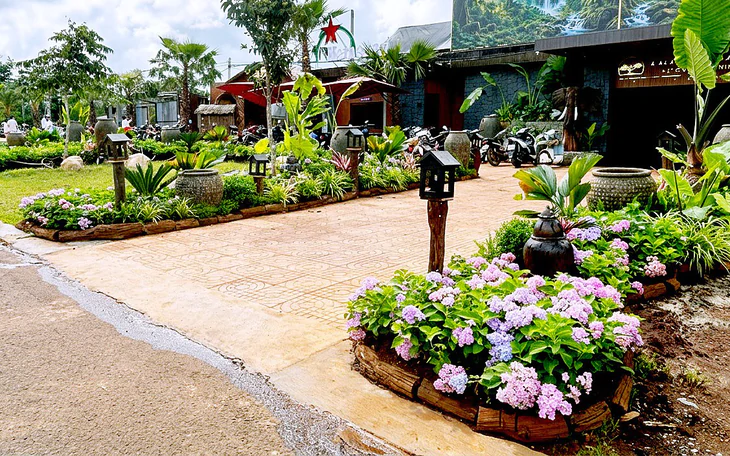 Dựng nhiều tảng đá ở vỉa hè trước trường: Hiệu trưởng 'than' nạn đỗ ô tô - Ảnh 8.