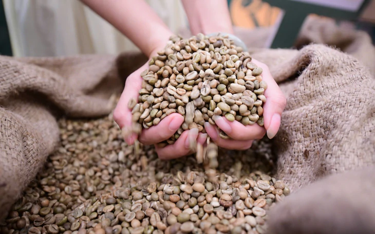 Robusta trong tuần: Giá nội địa quanh 92.500 đồng/kg, nông dân giữ cà phê như tài sản - Ảnh 3.
