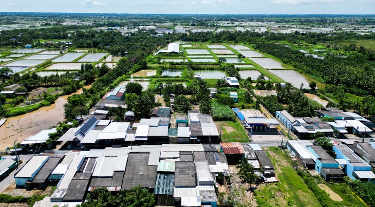 Cà Mau: Bà con gặp nhau hỏi thăm 'chỗ bạn có hôi thối không' vì trại heo 2.000 con - Ảnh 3.