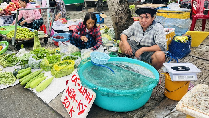 Giá cả đầu ngày: Giá cá tra nguyên liệu giảm nhẹ - Ảnh 2.