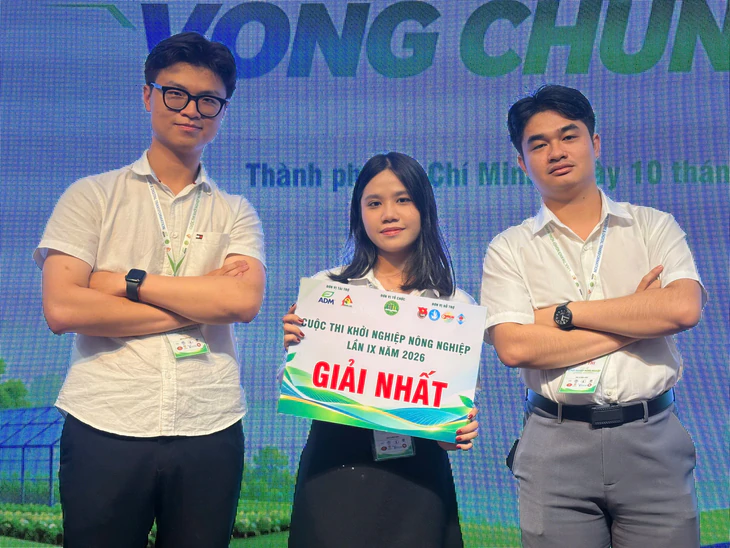A-EYE FRUIT - Ảnh 1.