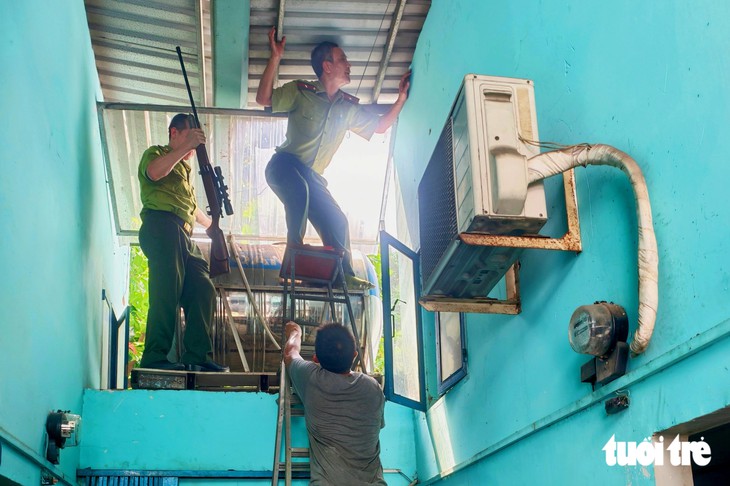 Khỉ đuôi dài rượt cắn người trên đường Phạm Thế Hiển, TP.HCM - Ảnh 5.
