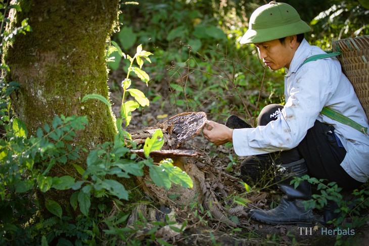 Bà Thái Hương: Muốn nâng tầm thương hiệu Việt, phải làm chủ công nghệ - Ảnh 2.