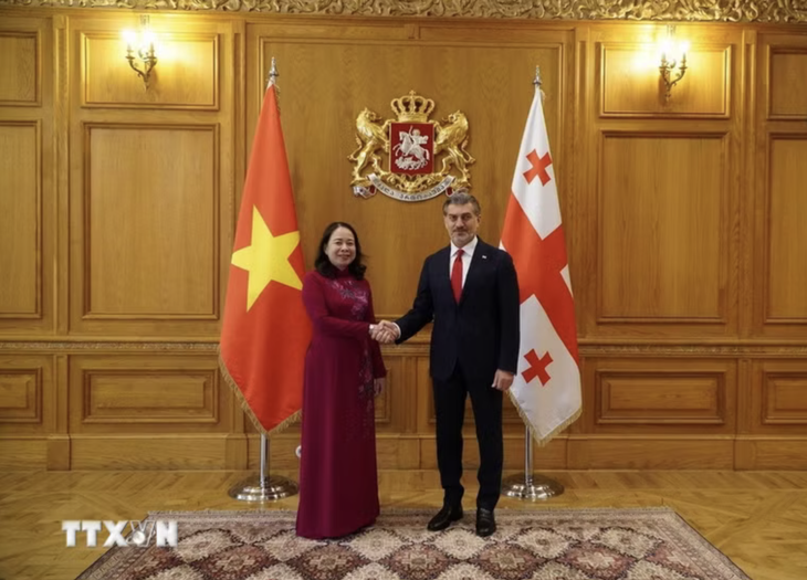 Georgia muốn lập trung tâm nghiên cứu chung về khoa học công nghệ, đổi mới sáng tạo với Việt Nam - Ảnh 1.