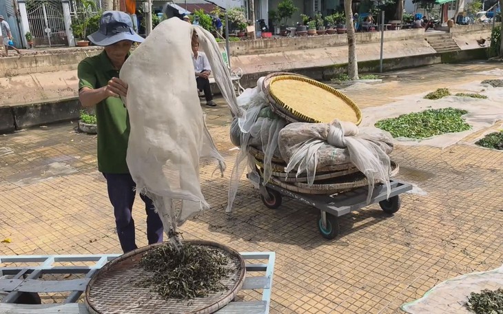 Cuộc thi Lan tỏa năng lượng tích cực 2026: Mùa nước nổi mang sinh kế về cho người dân - Ảnh 1.