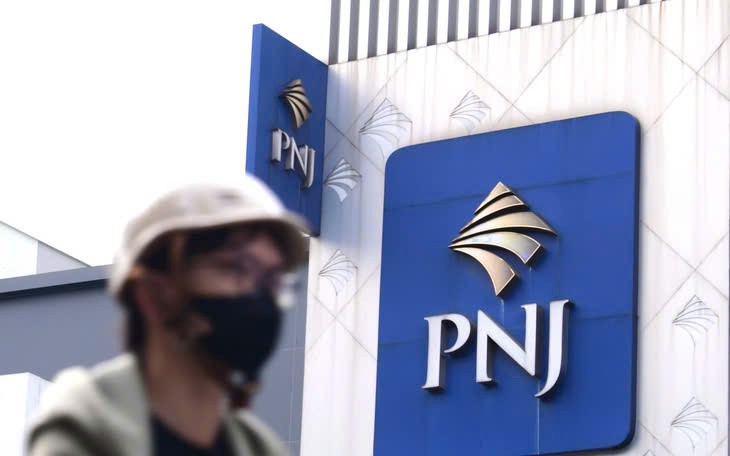 PNJ trình ĐHĐCĐ kế hoạch tái thiết, phục hồi tăng trưởng - Ảnh 3.