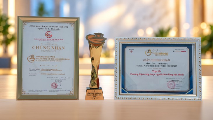 EVNHCMC đạt giải Thương hiệu Vàng chủ đề “Đổi mới và bền vững” - Ảnh 3.