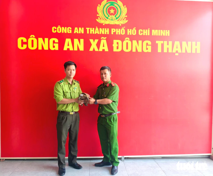 Phát hiện rùa núi vàng 'lạc' giữa đường ở Đông Thạnh, chủ quán cà phê liền giao nộp công an - Ảnh 3.
