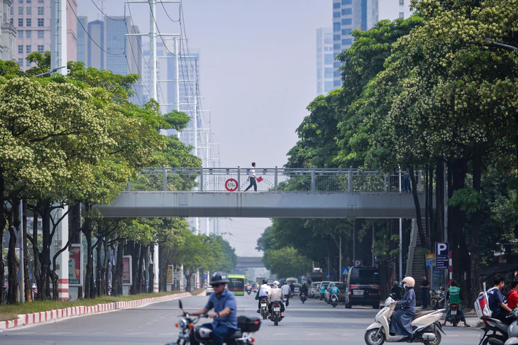 Hoa sữa có đặc tính hóa học như thế nào mà khiến không khí đặc quánh, ngột ngạt? - Ảnh 3.