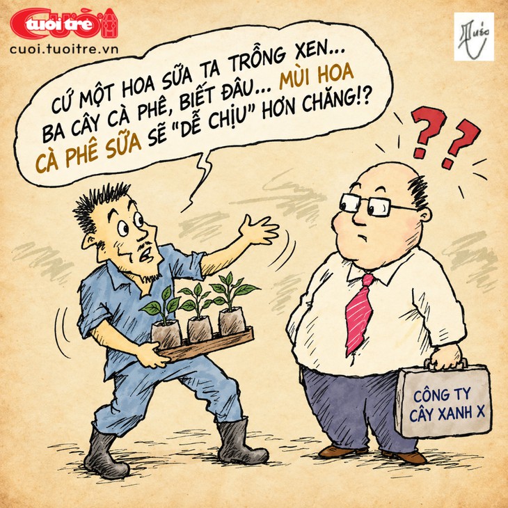 (Nháp) Hoa sữa Hà Nội: cần bớt nồng để thành phố dễ thở - Ảnh 2.