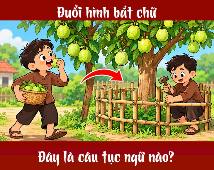 Tục ngữ quen thuộc này là gì? (P43) - Ảnh 1.