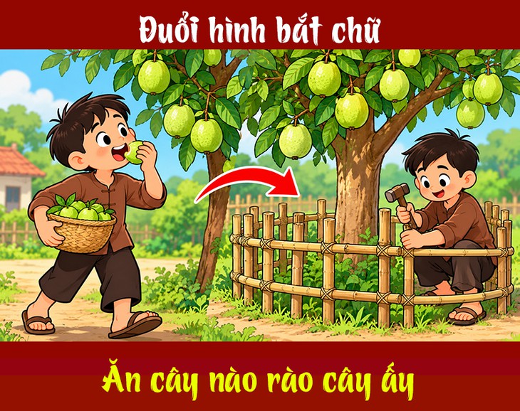 Tục ngữ quen thuộc này là gì? (P43) - Ảnh 1.