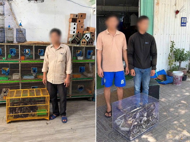 Thu giữ gần 300 con chim hoang dã không rõ nguồn gốc - Ảnh 1.