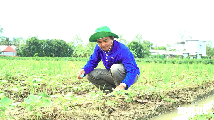 Trồng rau màu 400ha mùa nước nổi giá bán tăng 20%-30% - Ảnh 5.