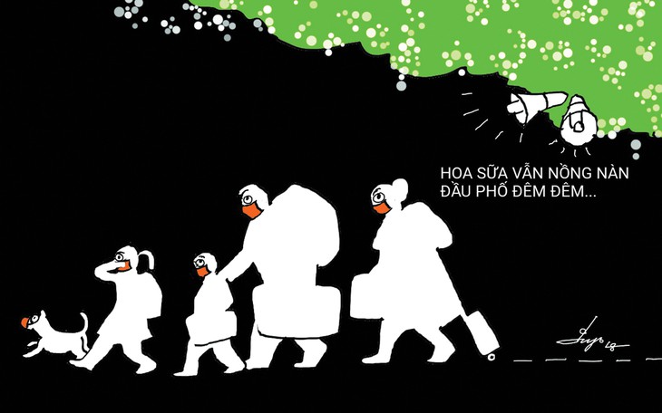 Hoa sữa vẫn nồng nàn đầu phố đêm đêm, có lẽ nào... - Ảnh 1.