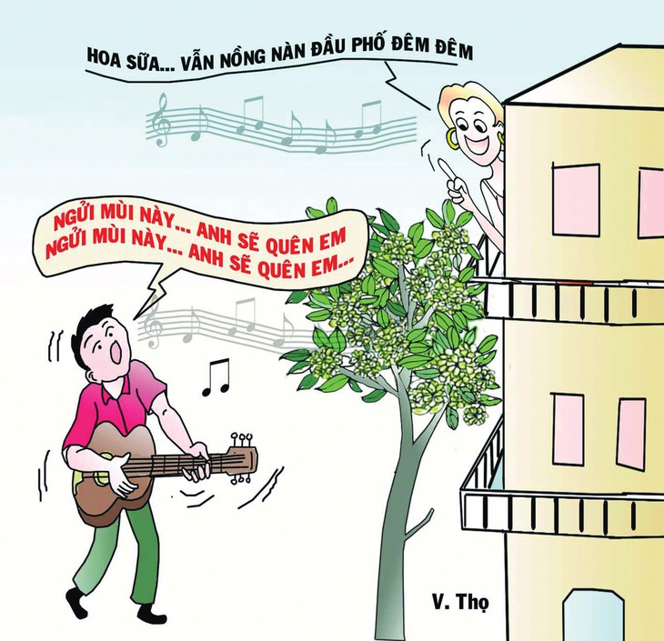 Hoa sữa vẫn nồng nàn đầu phố đêm đêm, có lẽ nào... - Ảnh 2.