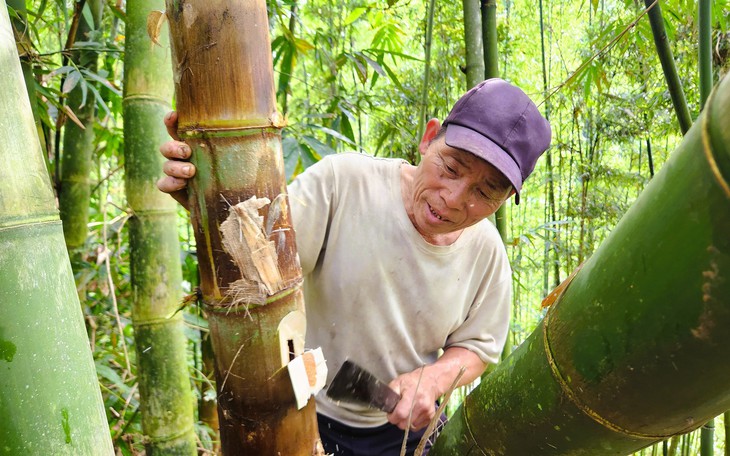 Đi săn sâu măng gắn với trải nghiệm đi rừng sẽ là sản phẩm du lịch độc đáo - Ảnh 2.